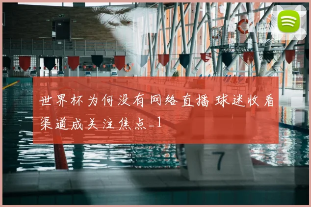 世界杯为何没有网络直播 球迷收看渠道成关注焦点_1